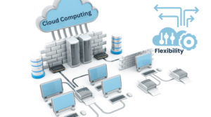 Flexibility in cloud computing