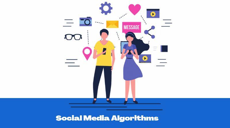 social media algorithm